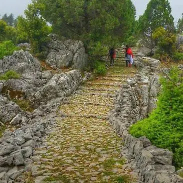 Апартаменти Dreamy Luxury Duplex With 300 Meters Of Private Garden Аланія