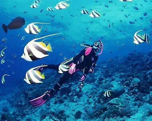 Dreamy Luxury Duplex With A Special View And 300 Meters Of Private Garden Alanya